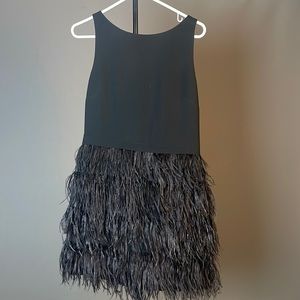Club Monaco Feather Dress
